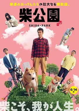 91九色蝌蚪视频