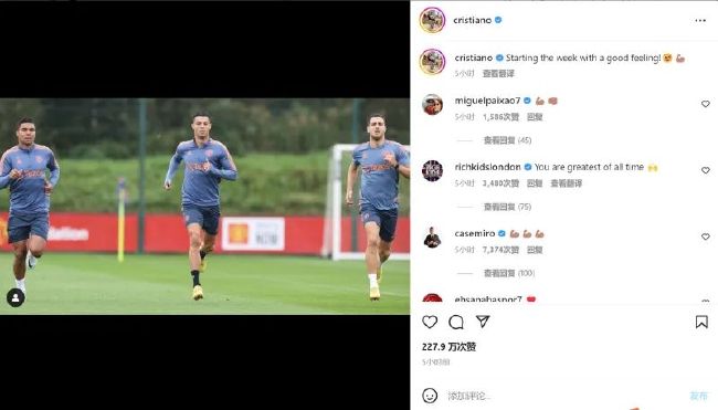 麻豆av免费看